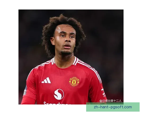 2026世界杯推出绿色低碳标准推动全球体育赛事可持续发展